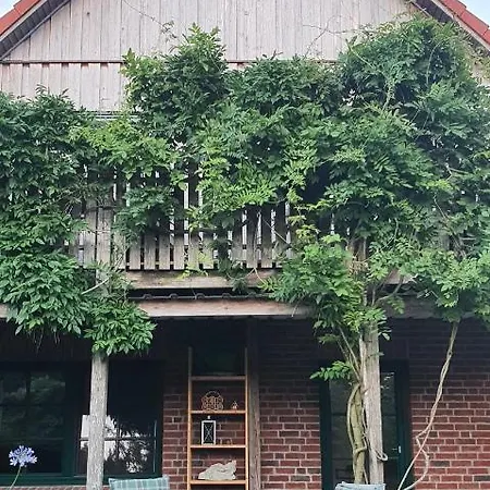 Ferienwohnung Wybo Mit Garten Wremen Exterior photo