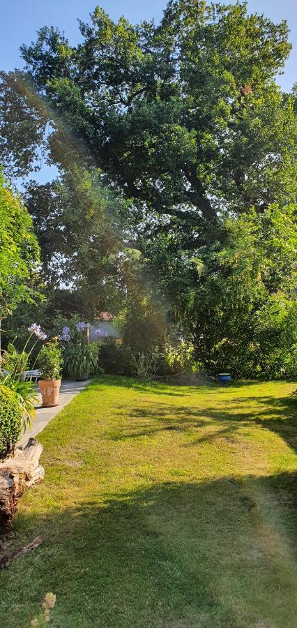 Apartment Wybo Mit Garten *